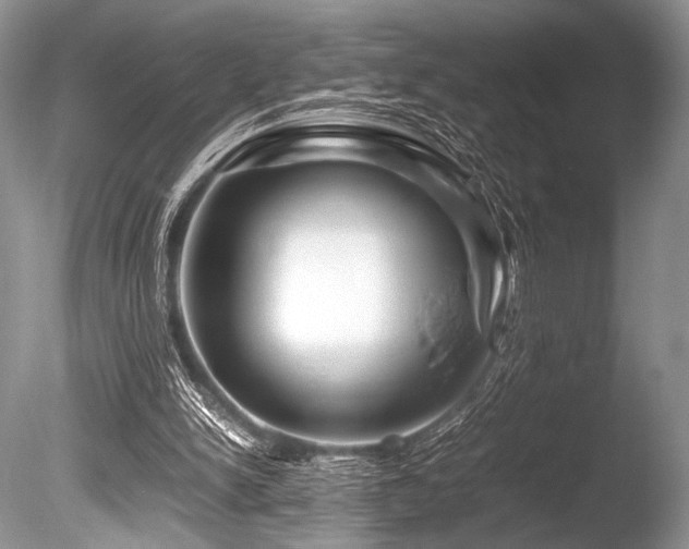 X0000086260150200703291442