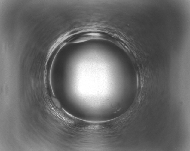 X0000086260152200703291442