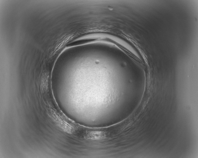 X0000086260153200703291442