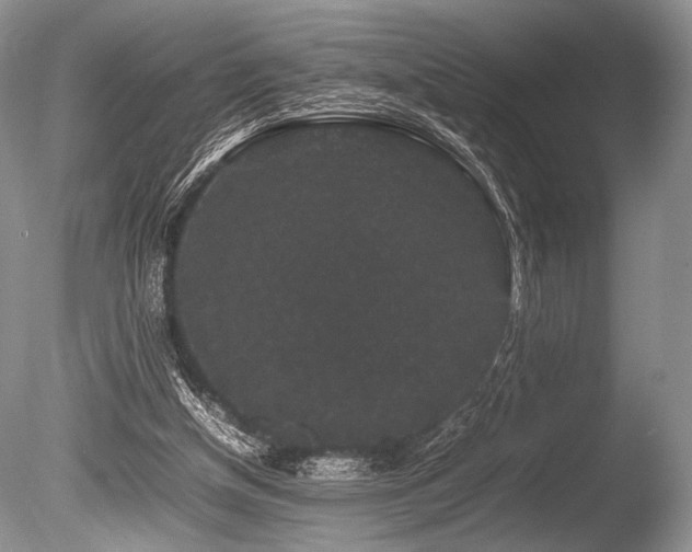 X0000086260154200703291442