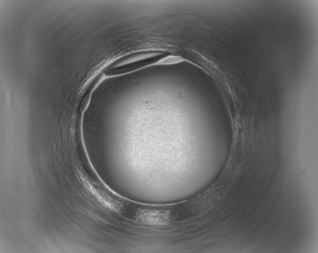 X0000086260155200703291442