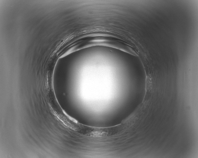 X0000086260158200703291442