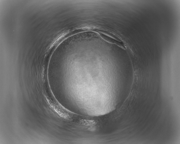 X0000086260159200703291442