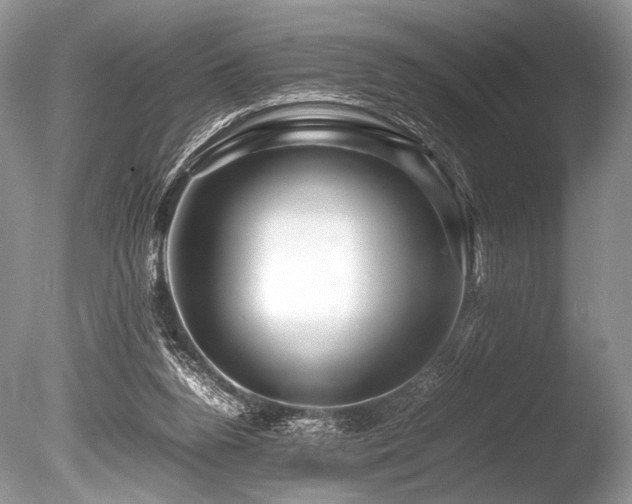 X0000086260160200703291442