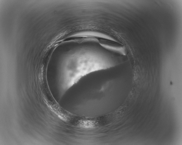 X0000086260163200703291443