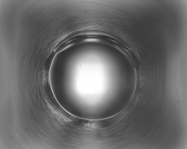 X0000086260164200703291443