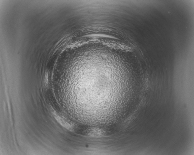 X0000086260166200703291443