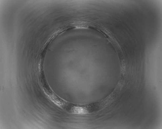 X0000086260167200703291443