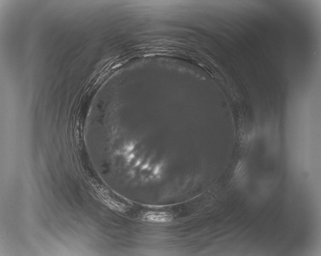 X0000086260169200703291443
