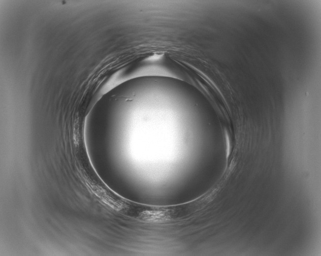 X0000086260170200703291443