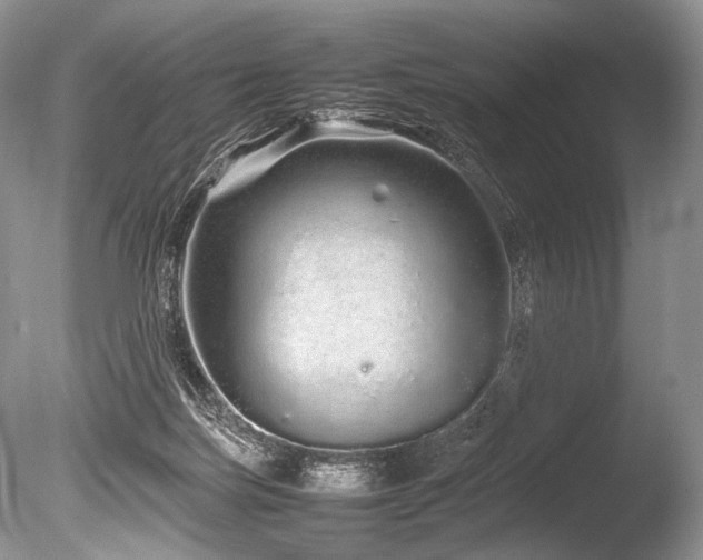 X0000086260171200703291443
