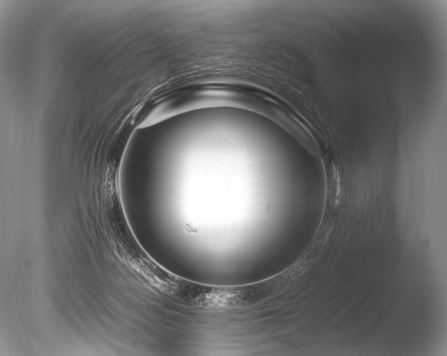 X0000086260172200703291443