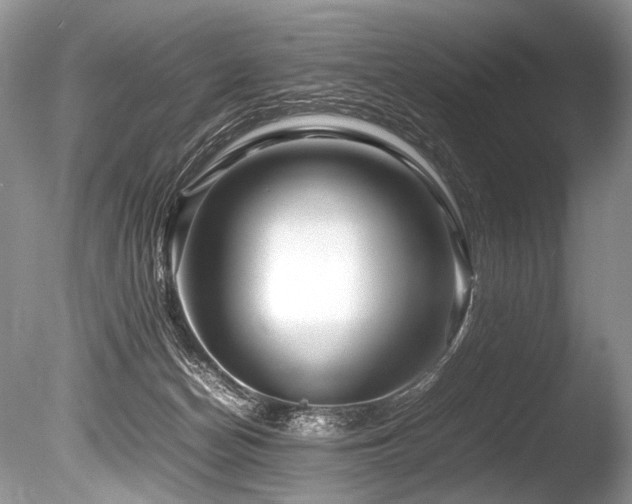 X0000086260174200703291443