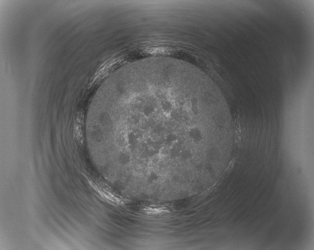X0000086260175200703291443