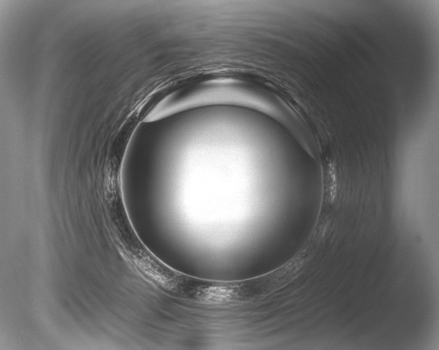 X0000086260176200703291443