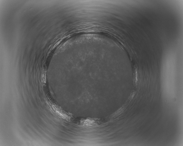 X0000086260180200703291443