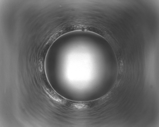 X0000086260183200703291443