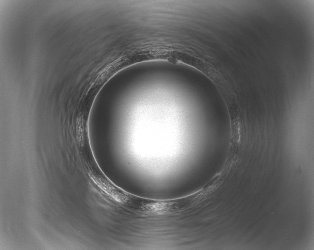 X0000086260184200703291443