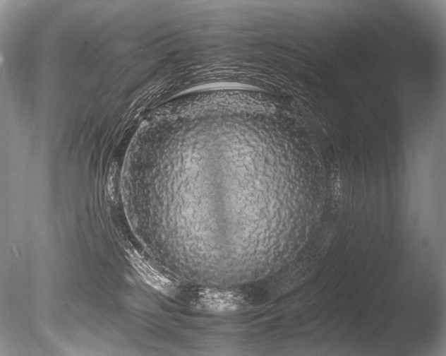 X0000086260185200703291443