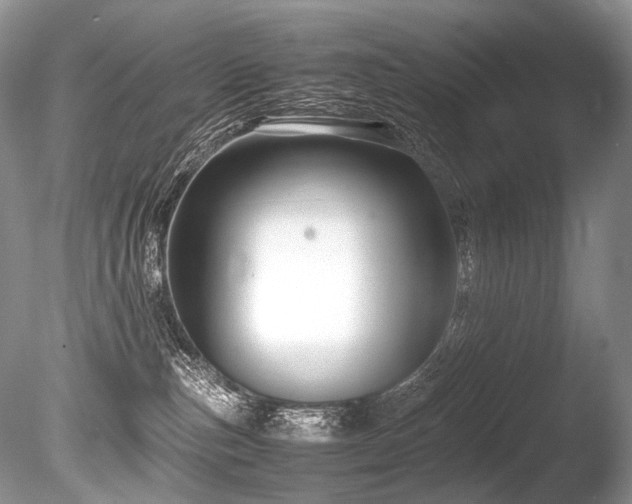 X0000086260187200703291443
