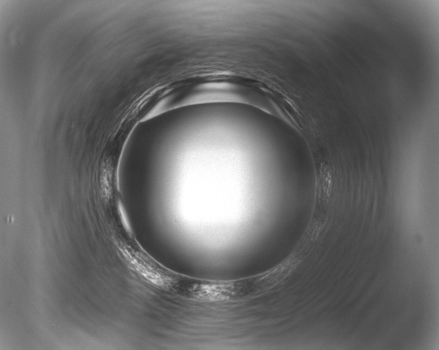 X0000086260188200703291443