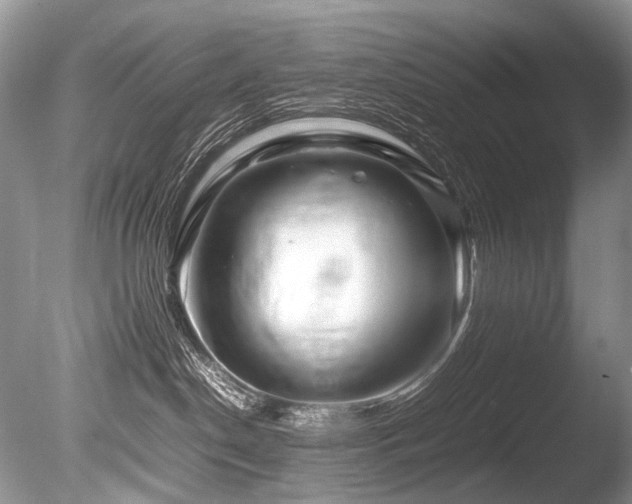 X0000086260190200703291443