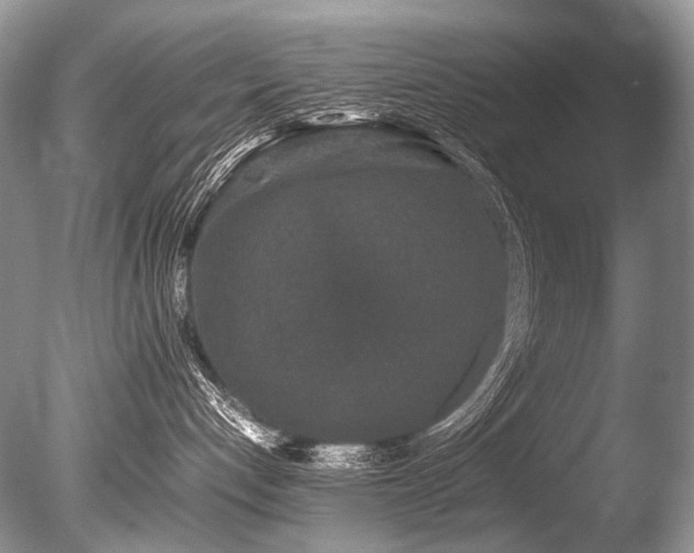 X0000086260192200703291443