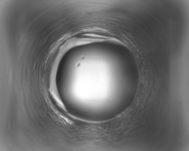 X0000086260193200703291442