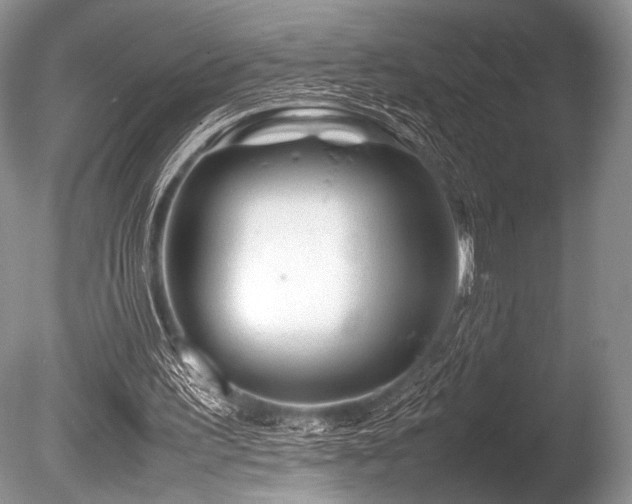 X0000086260195200703291442