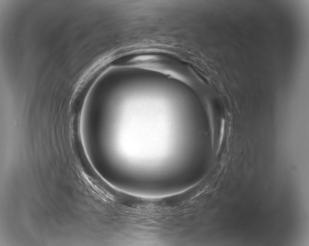 X0000086260197200703291442