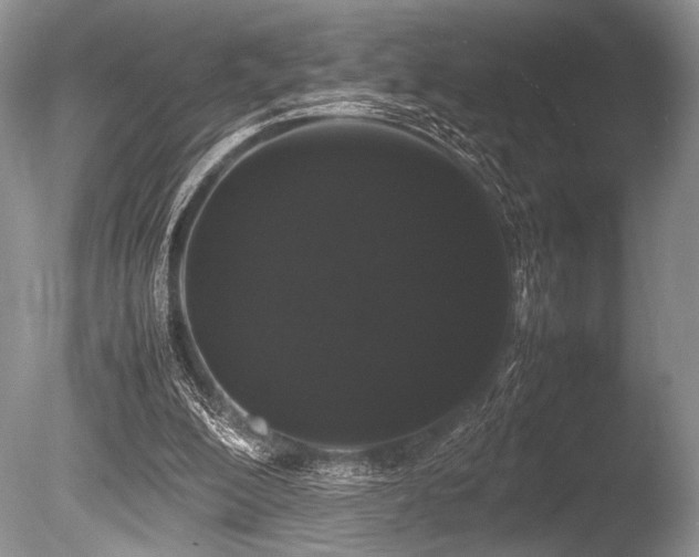X0000086260200200703291442