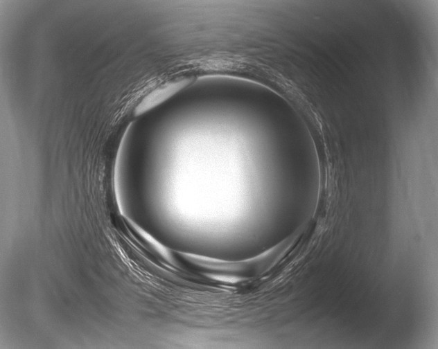 X0000086260201200703291442