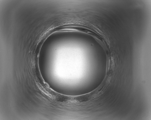 X0000086260203200703291442