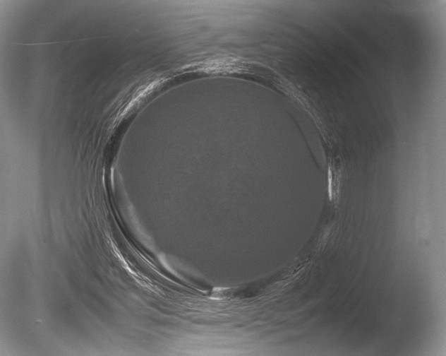 X0000086260205200703291442