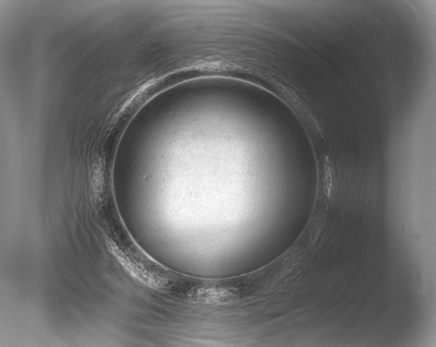 X0000086260208200703291442