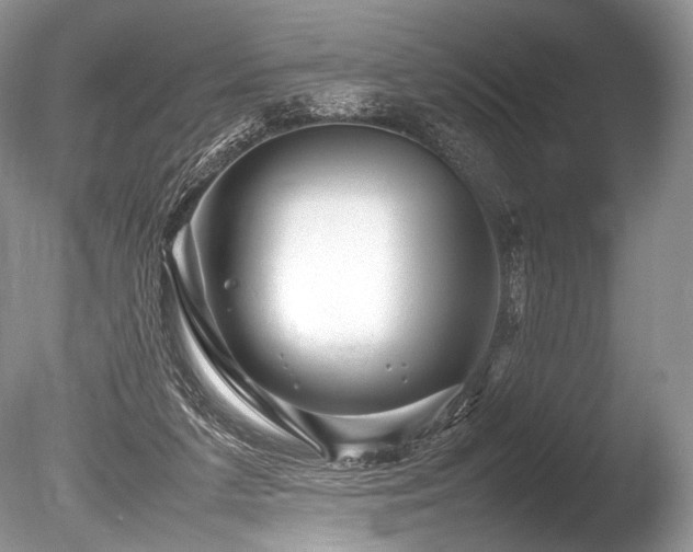 X0000086260211200703291442