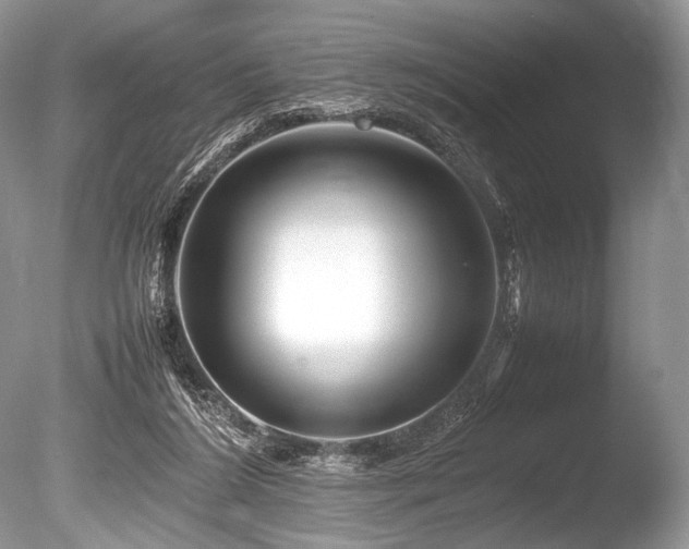 X0000086260212200703291442