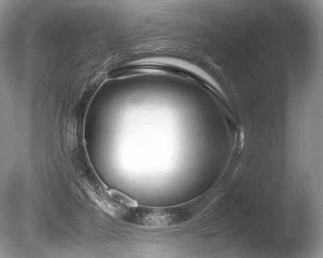 X0000086260213200703291442