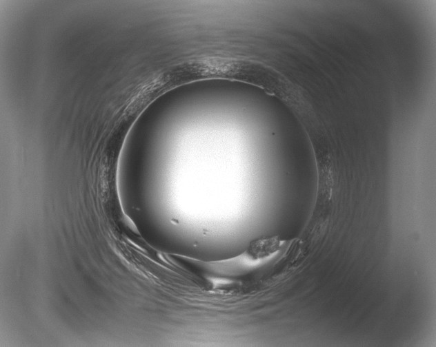 X0000086260215200703291442