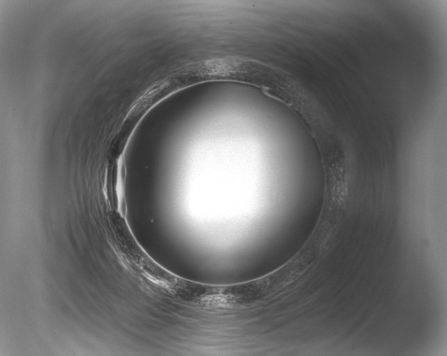 X0000086260216200703291442