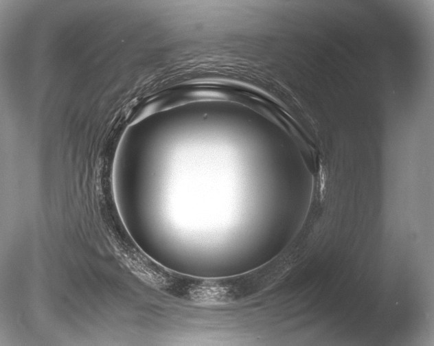 X0000086260217200703291442