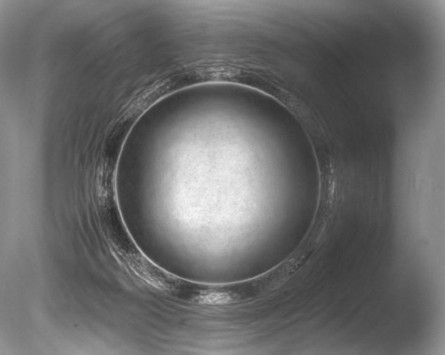 X0000086260218200703291442
