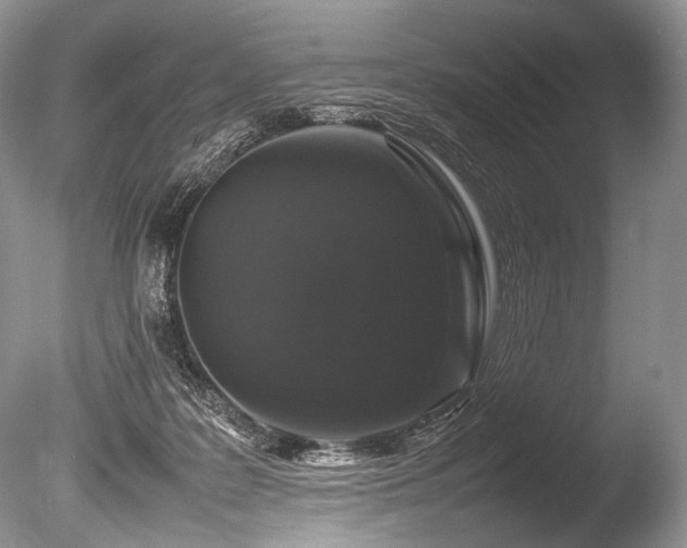 X0000086260219200703291442