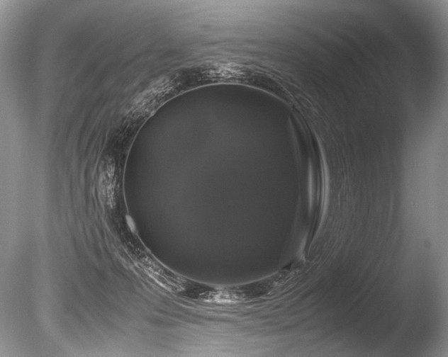 X0000086260223200703291442