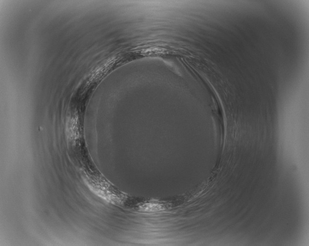 X0000086260224200703291442