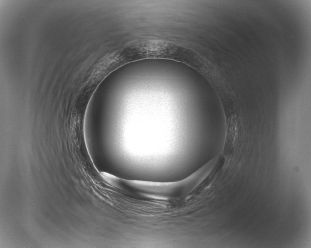 X0000086260225200703291442