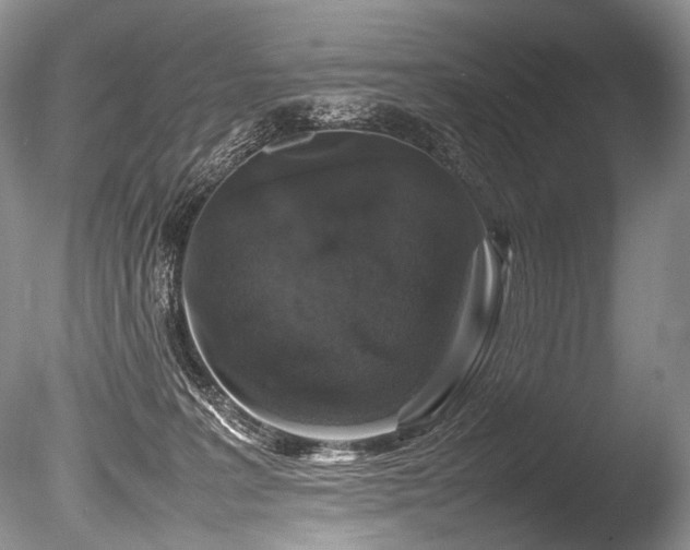 X0000086260227200703291442