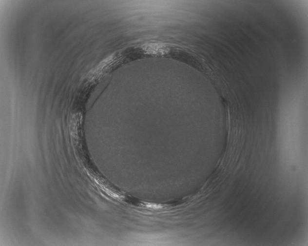 X0000086260229200703291442