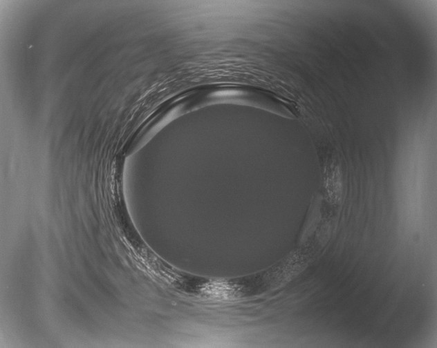 X0000086260231200703291442