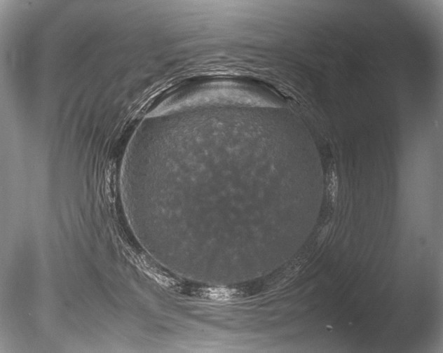 X0000086260233200703291441